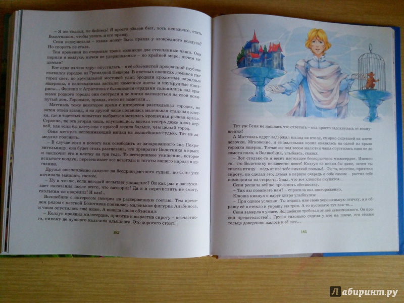 Иллюстрация 17 из 60 для Колдовской сапфир - Антонина Дельвиг | Лабиринт - книги. Источник: Эйтери