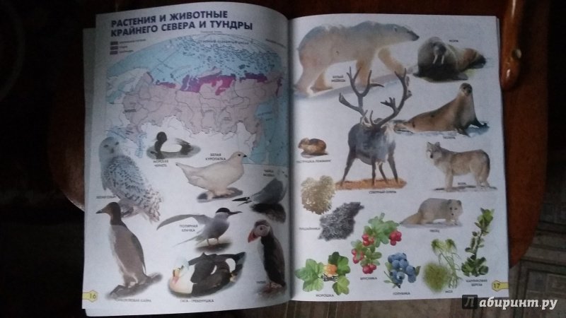 Иллюстрация 4 из 16 для Природоведение. 3-4 классы. Атлас с комплектом контурных карт. ФГОС | Лабиринт - книги. Источник: Мурти