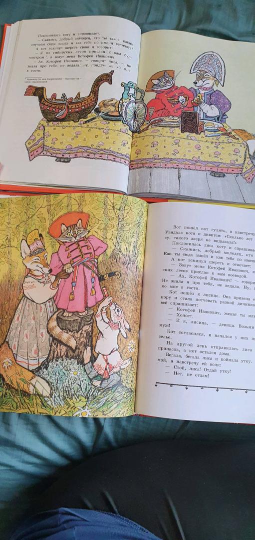 Иллюстрация 107 из 130 для Русские народные сказки. Рисунки Е.Рачёва | Лабиринт - книги. Источник: Мишина Светлана