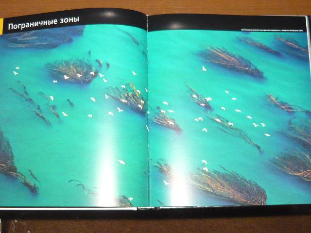 Иллюстрация 30 из 65 для Океаны - Хатчинсон, Хоукинс | Лабиринт - книги. Источник: Ромашка:-)