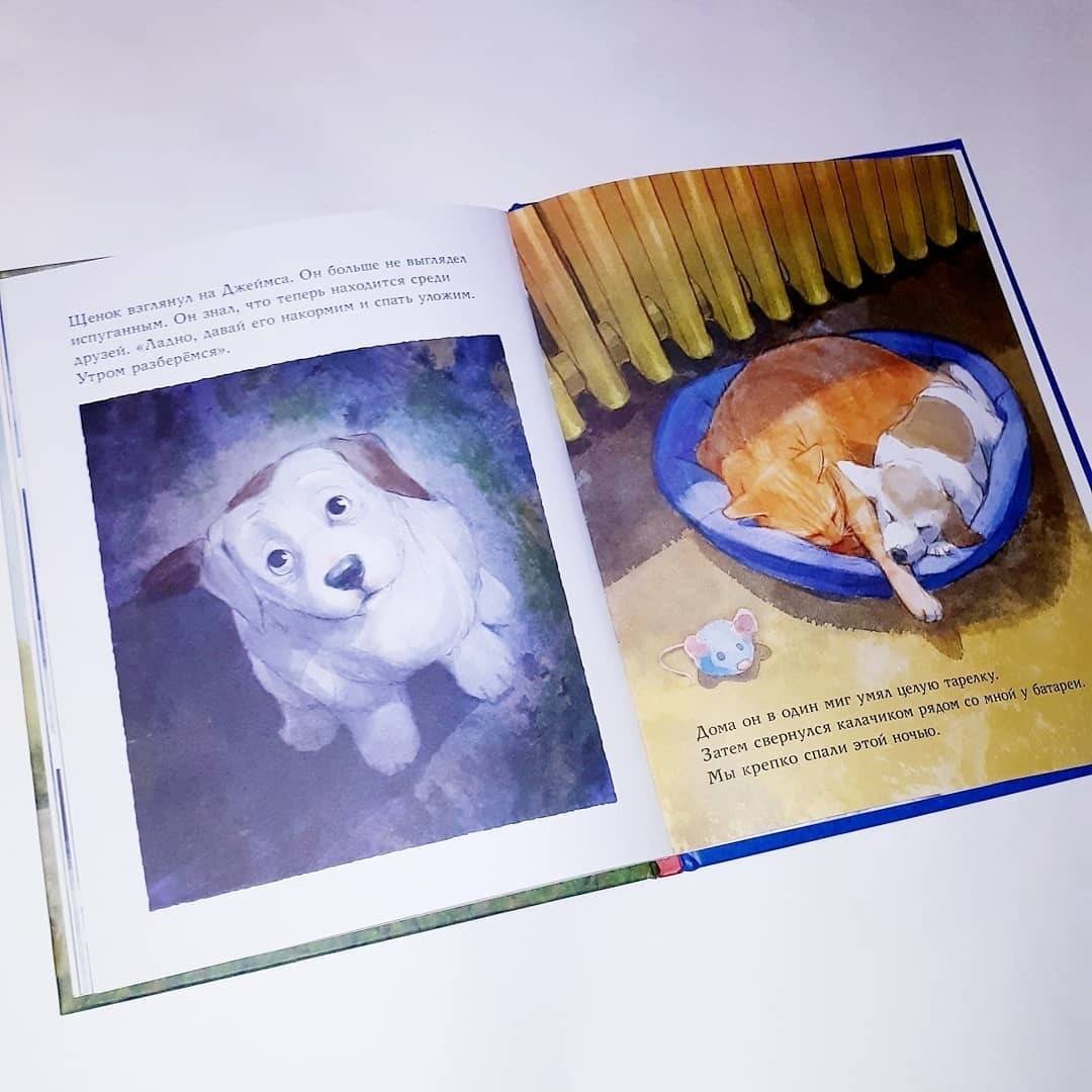 Иллюстрация 30 из 69 для Кот по имени Боб - Боуэн, Дженкинс | Лабиринт - книги. Источник: Отзывы читателей