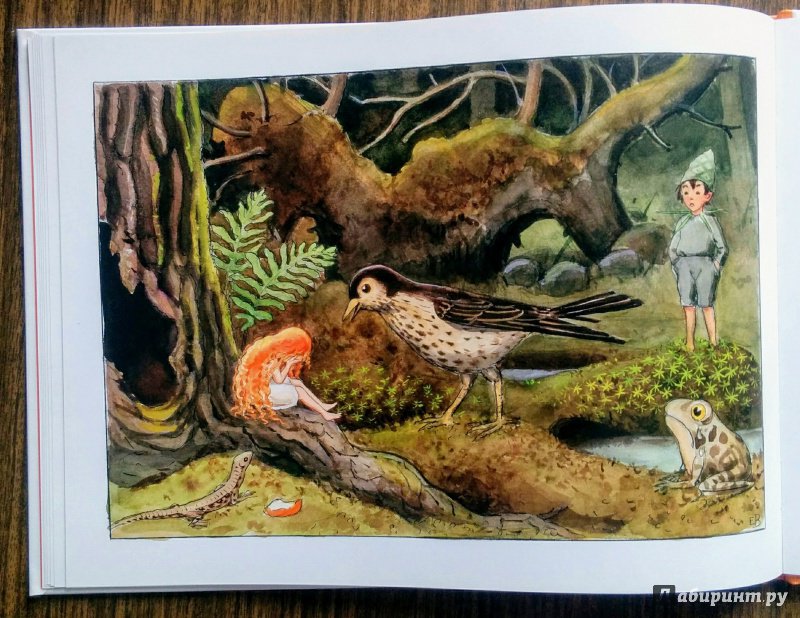 Иллюстрация 42 из 59 для Солнечное яйцо - Эльза Бесков | Лабиринт - книги. Источник: Natalie Leigh