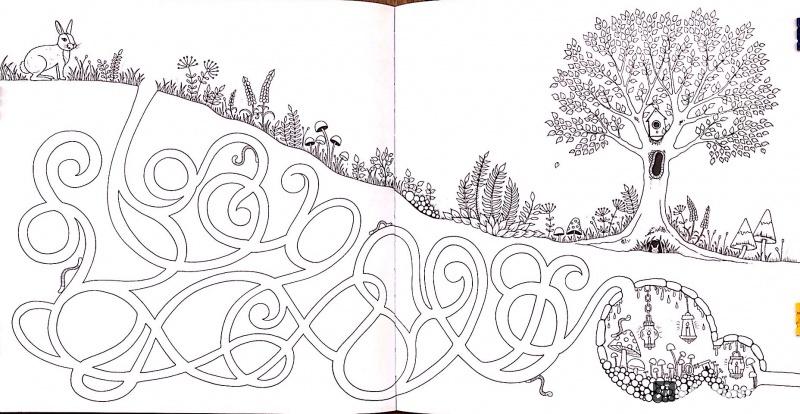 Иллюстрация 15 из 68 для Зачарованный лес - Джоанна Бэсфорд | Лабиринт - книги. Источник: Никандрова  Анна