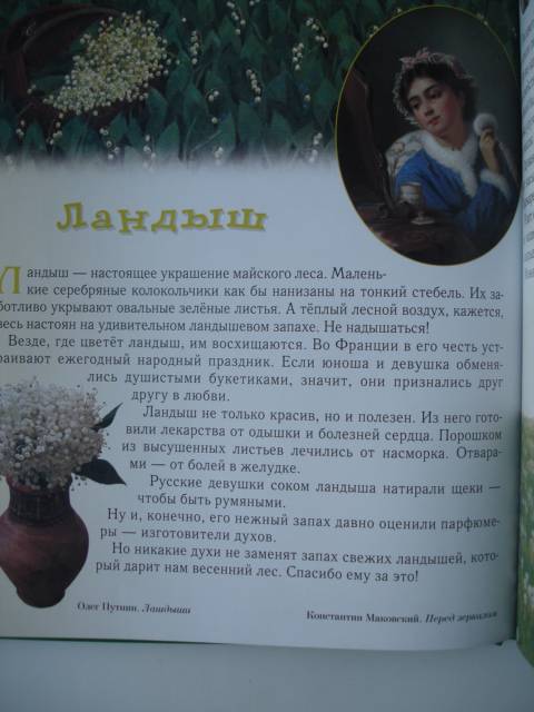 Иллюстрация 89 из 94 для Прогулки по лесу - Сергей Махотин | Лабиринт - книги. Источник: Blackboard_Writer