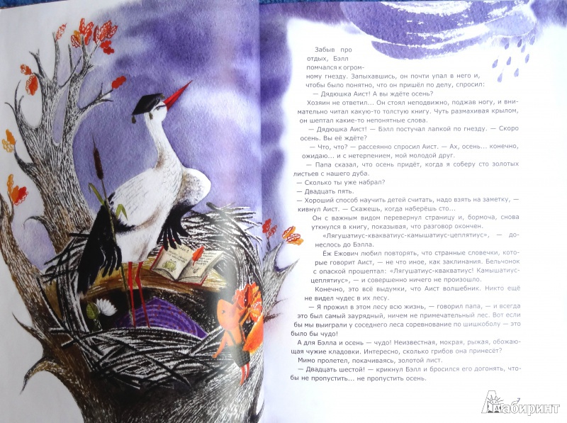 Иллюстрация 29 из 48 для Бельчонок, его друзья и волшебная книга - Ольга Фадеева | Лабиринт - книги. Источник: Лабиринт