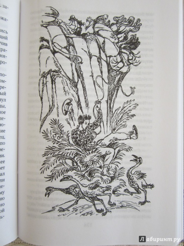Иллюстрация 14 из 47 для Птица-пересмешник - Джеральд Даррелл | Лабиринт - книги. Источник: ЮлияО