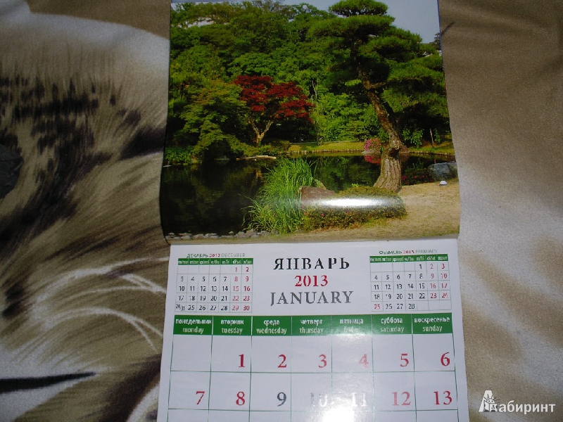 Иллюстрация 4 из 9 для Календарь 2013 "Японский сад" (70327) | Лабиринт - сувениры. Источник: Tiger.