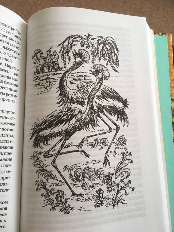 Иллюстрация 39 из 44 для Юбилей Ковчега - Джеральд Даррелл | Лабиринт - книги. Источник: Лабиринт