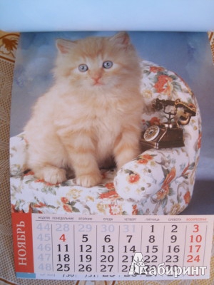 Иллюстрация 3 из 7 для Календарь с магнитным креплением "КОШКИ" 2013 год (27494) | Лабиринт - сувениры. Источник: Домовушка