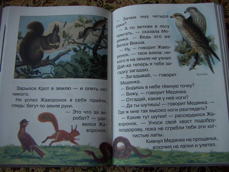 Иллюстрация 39 из 40 для Сказки и рассказы о животных - Виталий Бианки | Лабиринт - книги. Источник: Алонсо Кихано