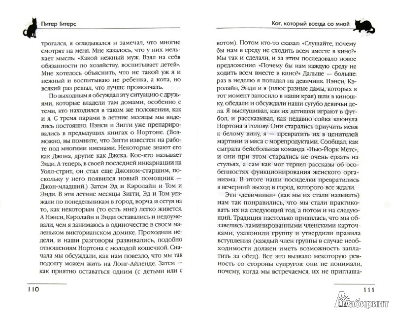 Иллюстрация 3 из 21 для Кот, который всегда со мной - Питер Гитерс | Лабиринт - книги. Источник: Amberka