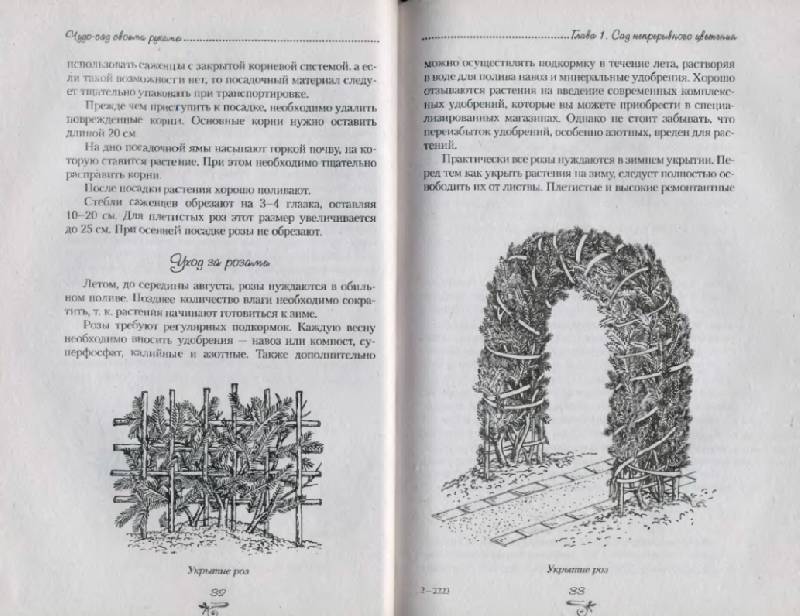 Иллюстрация 8 из 10 для Чудо-сад своими руками - Карлен Кочарян | Лабиринт - книги. Источник: Анна Викторовна