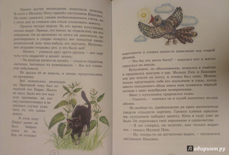 Иллюстрация 16 из 32 для Домик под кустом крыжовника - Е. Маланьина | Лабиринт - книги. Источник: Katty