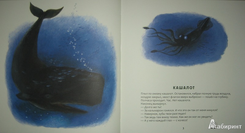 Иллюстрация 18 из 61 для Кто в море живет - Святослав Сахарнов | Лабиринт - книги. Источник: Трухина Ирина