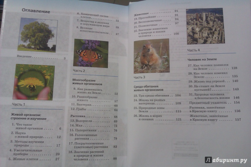 Биология 5 класс учебник плешакова ответы