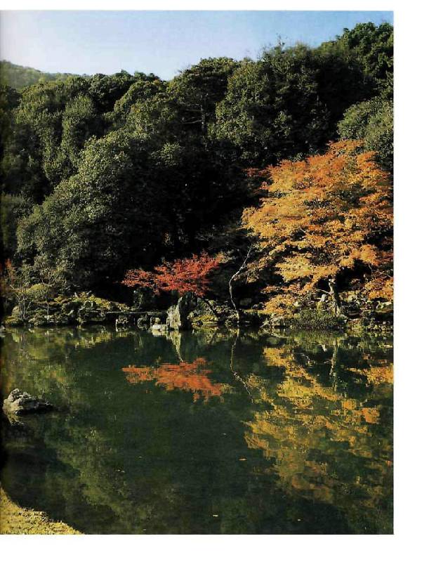 Иллюстрация 25 из 36 для Japanese Gardens - Gunter Nitschke | Лабиринт - книги. Источник: lexus