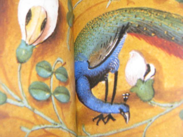 Иллюстрация 10 из 20 для Эрмитаж. Цветы и птицы | Лабиринт - книги. Источник: Nemertona