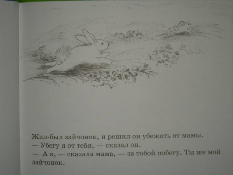 Иллюстрация 33 из 46 для Как зайчонок убегал - Уайз Браун | Лабиринт - книги. Источник: Мартынова  Анна Владимировна