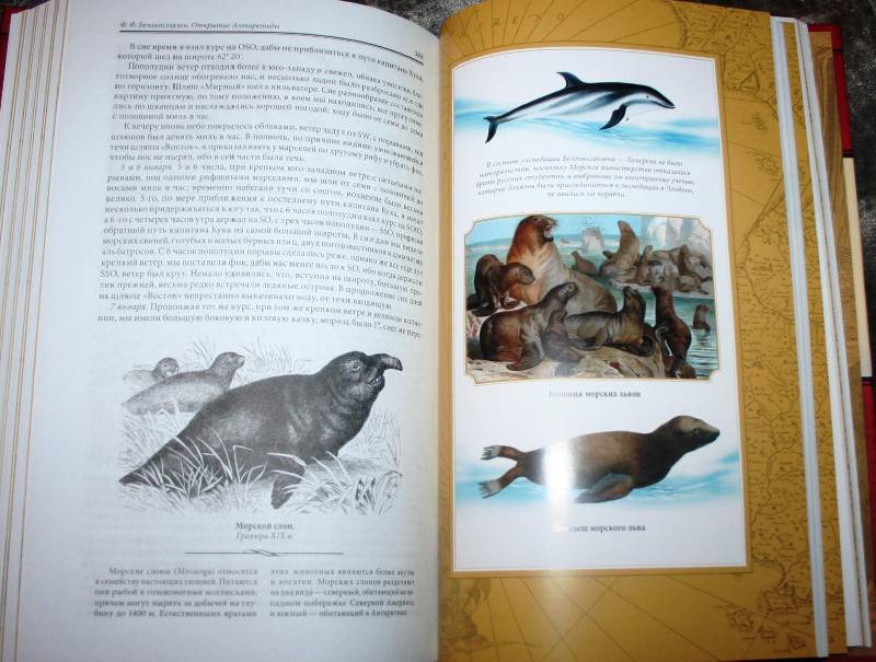 Иллюстрация 36 из 41 для Открытие Антарктиды - Фаддей Беллинсгаузен | Лабиринт - книги. Источник: Aleni
