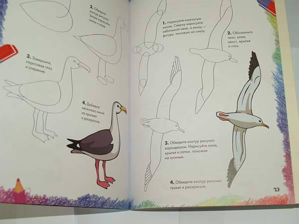 Иллюстрация 19 из 36 для Рисуем морских животных, рыб и птиц | Лабиринт - книги. Источник: Cовушка