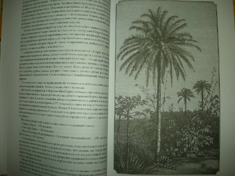 Иллюстрация 32 из 59 для В дебрях Африки - Генри Стенли | Лабиринт - книги. Источник: Мартынова  Анна Владимировна