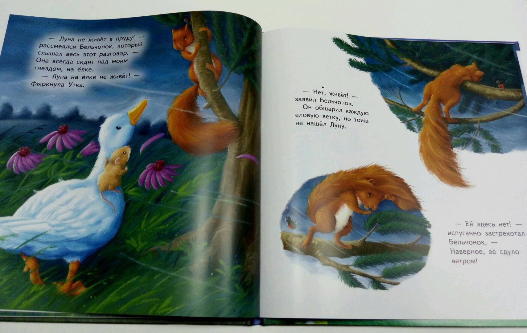 Иллюстрация 12 из 15 для Мышонок и Луна - М. Батлер | Лабиринт - книги. Источник: Дива