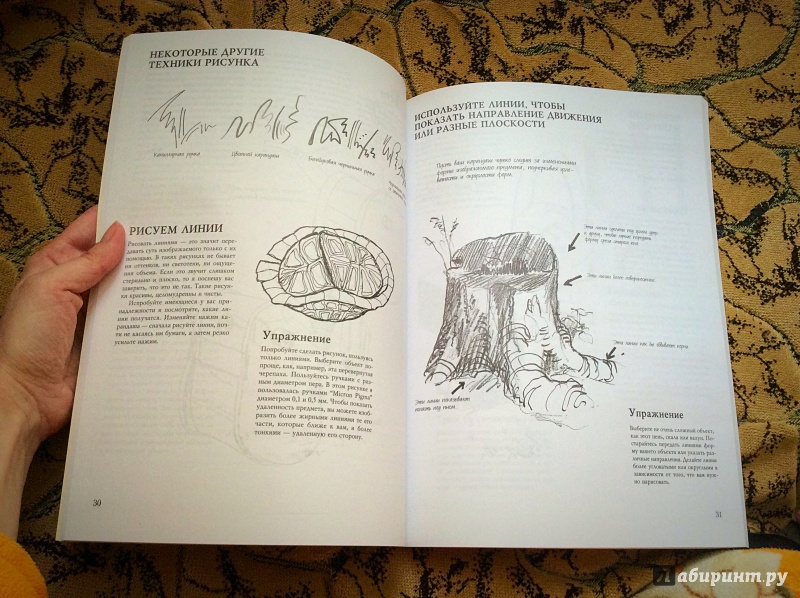 Иллюстрация 35 из 49 для Наброски и рисунок - Кэти Джонсон | Лабиринт - книги. Источник: а.а.и.