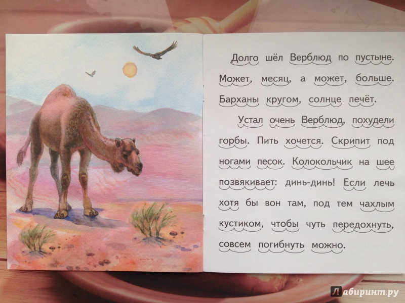 Иллюстрация 2 из 15 для Верблюд и море - Николай Красильников | Лабиринт - книги. Источник: Кузнецова  Ирина