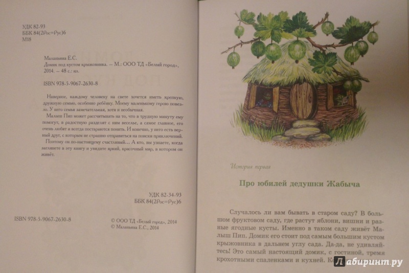 Иллюстрация 6 из 32 для Домик под кустом крыжовника - Е. Маланьина | Лабиринт - книги. Источник: Katty