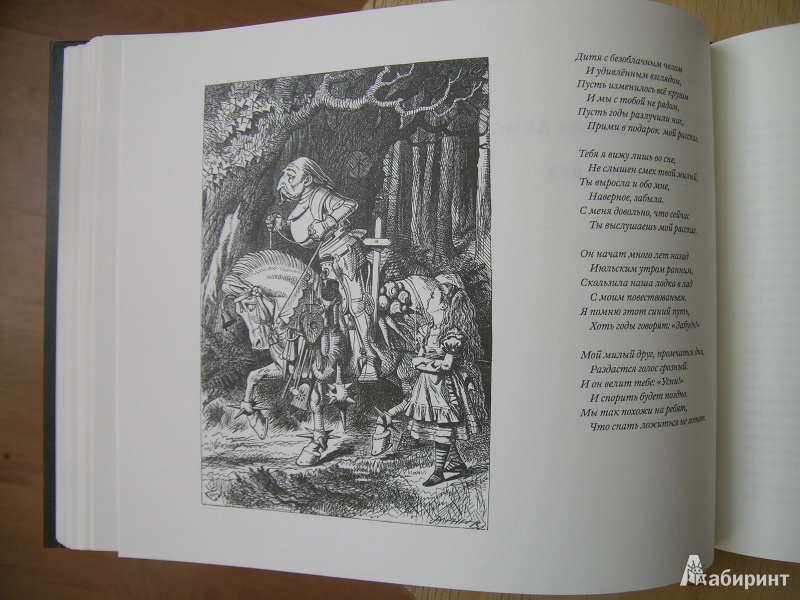 Иллюстрация 25 из 28 для "Алиса" глазами философа - Льюис Кэрролл | Лабиринт - книги. Источник: petrova_vodkina