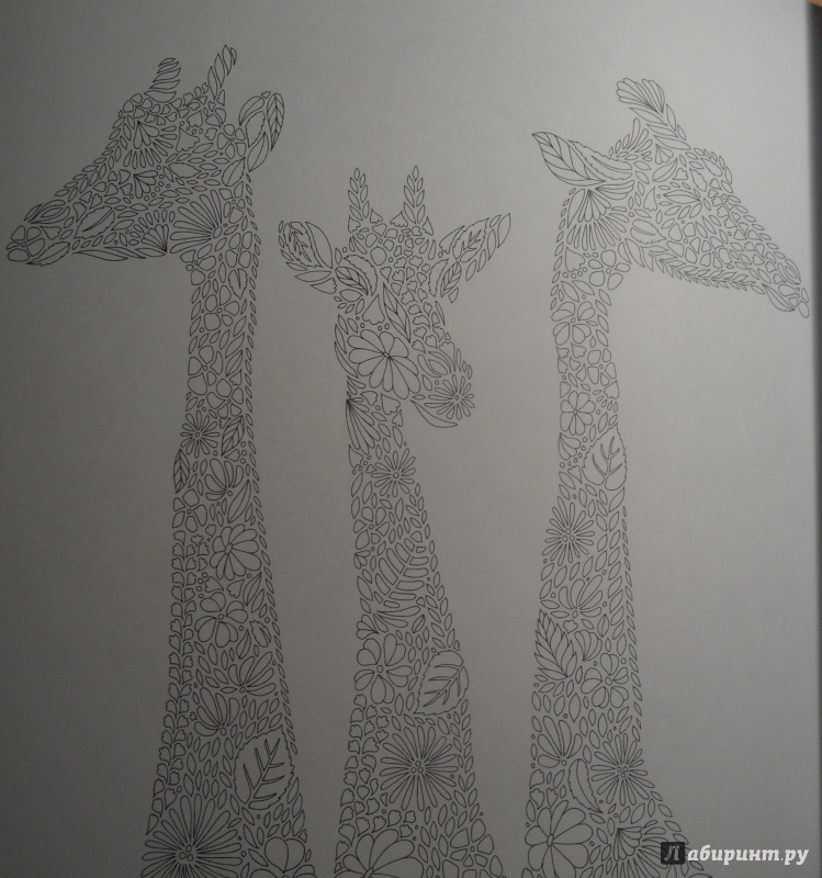 Иллюстрация 29 из 47 для В царстве животных. Книга для творчества и вдохновения - Милли Маротта | Лабиринт - книги. Источник: Kerch