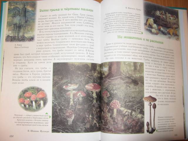 Иллюстрация 3 из 49 для Занимательная ботаника - Светлана Лаврова | Лабиринт - книги. Источник: varta