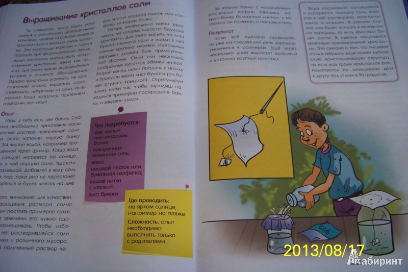 Иллюстрация 10 из 36 для Веселые научные опыты для детей и взрослых. Опыты на отдыхе - Виталий Зарапин | Лабиринт - книги. Источник: G