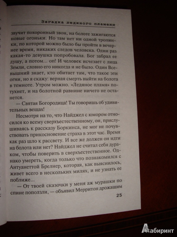 Иллюстрация 7 из 12 для Загадка ледяного пламени - Ханшеу, Ханшеу | Лабиринт - книги. Источник: Иринич  Лариса Павловна