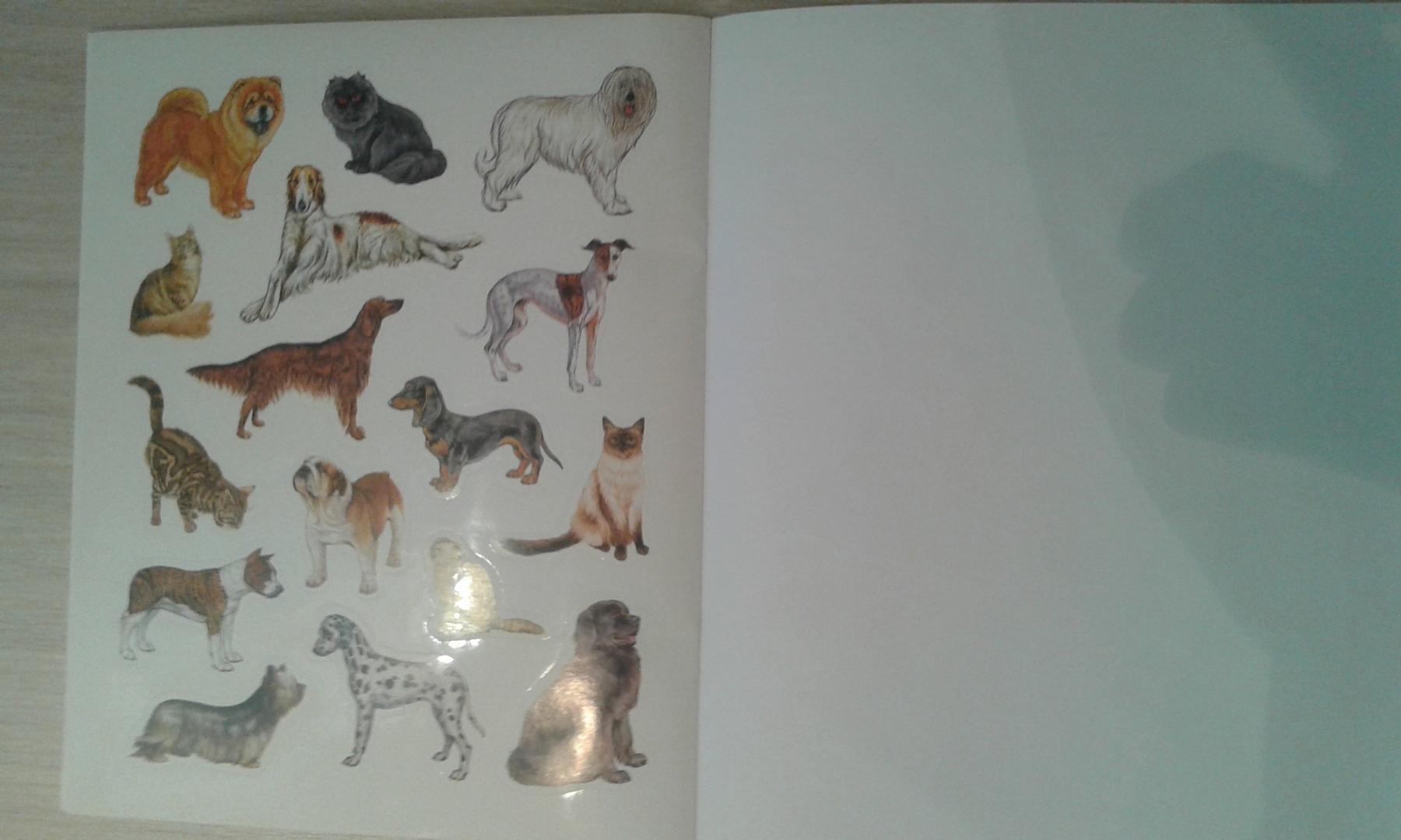 Иллюстрация 26 из 26 для Большая книга развивающих наклеек. Кошки и собаки | Лабиринт - книги. Источник: Юлия