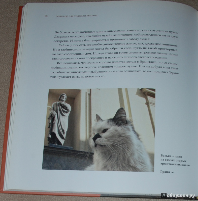 Иллюстрация 16 из 30 для Кошкин дом в Эрмитаже - Голь, Халтунен | Лабиринт - книги. Источник: Книжный кот