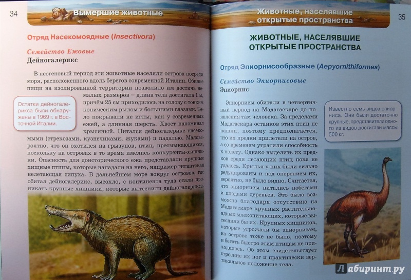 Иллюстрация 11 из 41 для Вымершие животные | Лабиринт - книги. Источник: Соловьев  Владимир