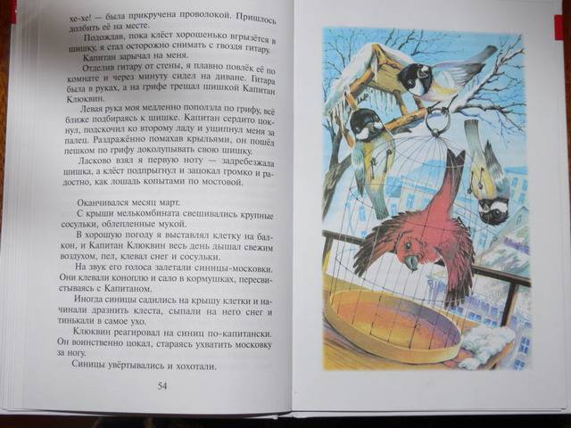 Иллюстрация 36 из 55 для Алый и другие рассказы - Юрий Коваль | Лабиринт - книги. Источник: Irbis