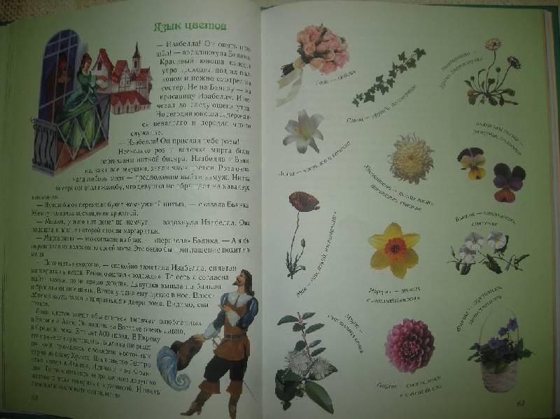 Иллюстрация 45 из 49 для Занимательная ботаника - Светлана Лаврова | Лабиринт - книги. Источник: Мартынова  Анна Владимировна