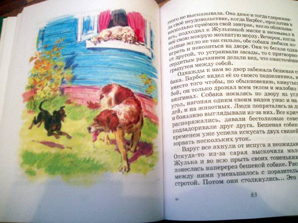 Иллюстрация 21 из 39 для Лев и собачка: Рассказы русских писателей | Лабиринт - книги. Источник: Galia
