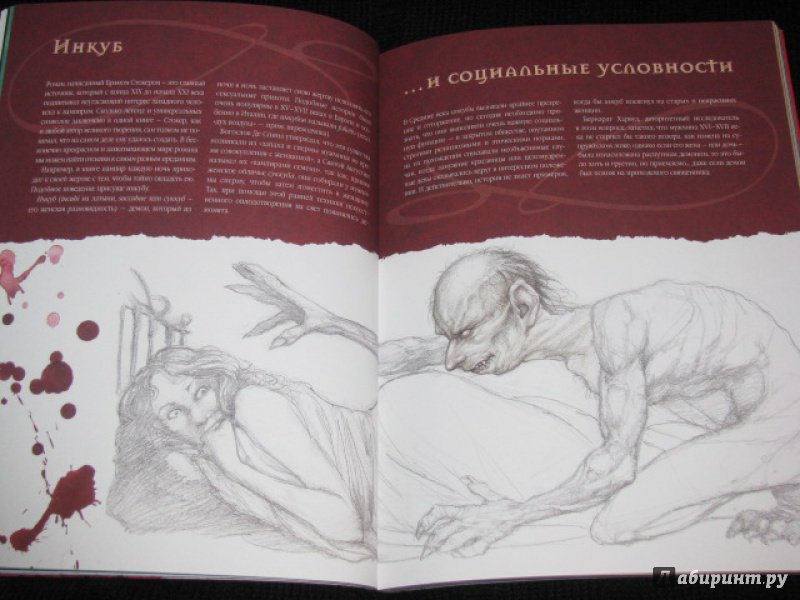Иллюстрация 26 из 63 для Вампиры. Магический мир - Нестор Баррон | Лабиринт - книги. Источник: Nemertona