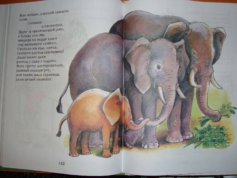 Иллюстрация 30 из 37 для Сказки, стихи, рассказы о животных | Лабиринт - книги. Источник: Нинуля