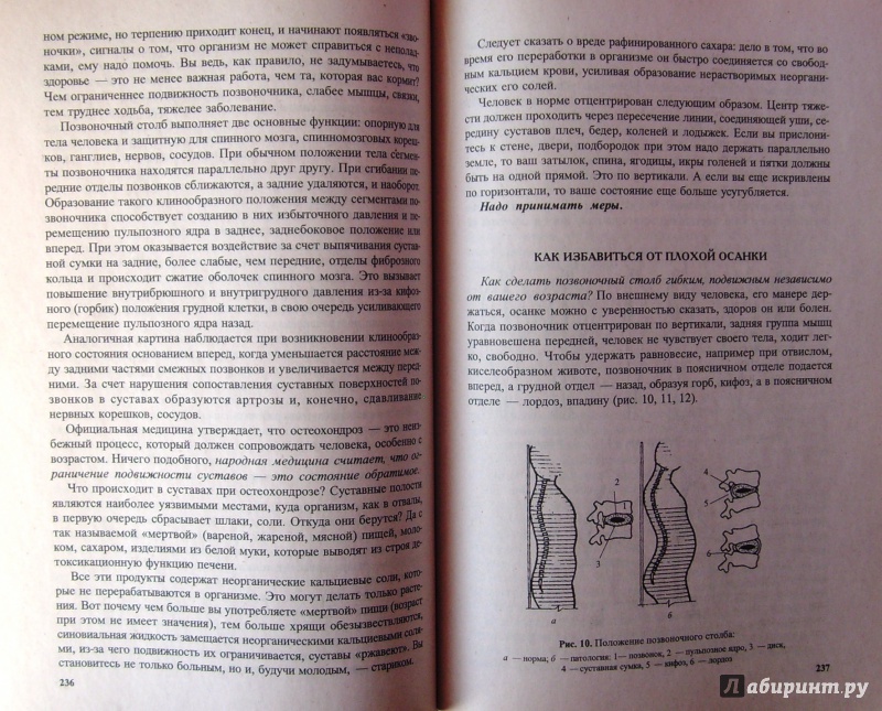 Иллюстрация 5 из 33 для Эндоэкология здоровья - Неумывакин, Неумывакина | Лабиринт - книги. Источник: Соловьев  Владимир