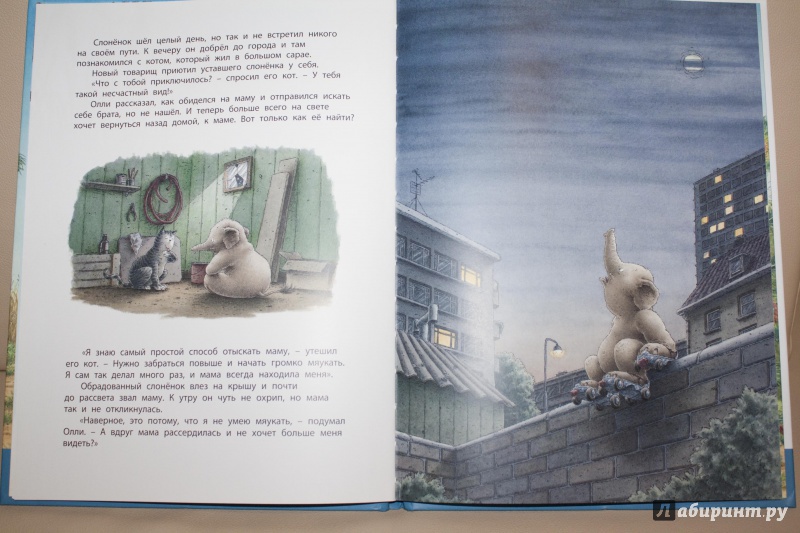 Иллюстрация 18 из 19 для Слонёнок ищет брата - Берни Бос | Лабиринт - книги. Источник: Elena  Elena