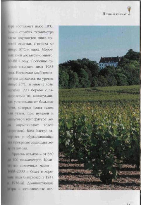 Иллюстрация 33 из 41 для Шампанское и другие игристые вина Франции - Юрий Зыбцев | Лабиринт - книги. Источник: Юта