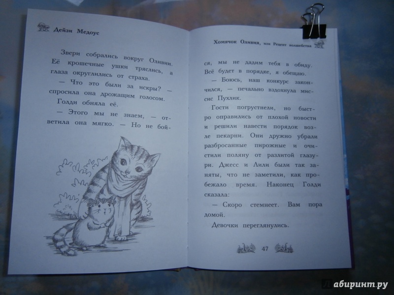 Иллюстрация 16 из 30 для Хомячок Оливия, или Рецепт волшебства - Дейзи Медоус | Лабиринт - книги. Источник: Tiger.