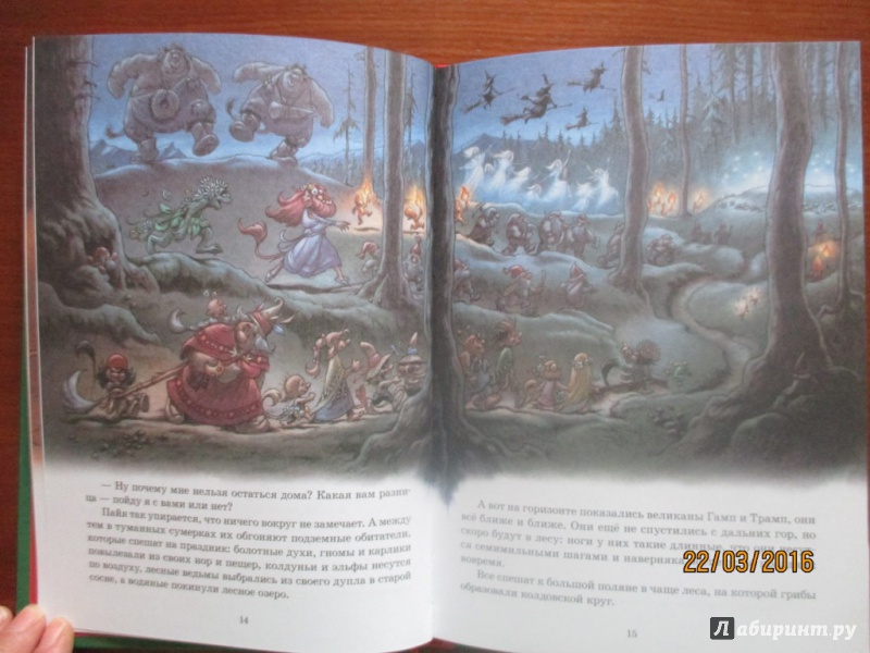 Иллюстрация 12 из 14 для Праздник в лесу - Сиссель Бёэ | Лабиринт - книги. Источник: Марина Епифанцева