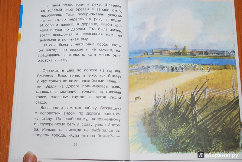 Иллюстрация 17 из 32 для Арктур - гончий пёс - Юрий Казаков | Лабиринт - книги. Источник: Нади