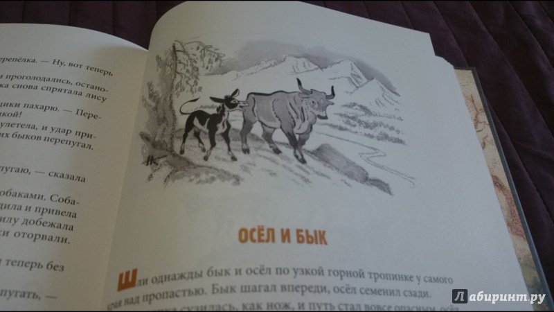 Иллюстрация 31 из 44 для Дагестанские народные сказки | Лабиринт - книги. Источник: anka46