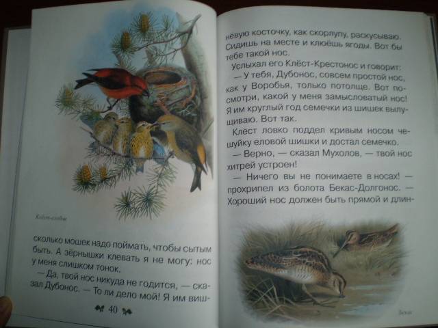 Иллюстрация 7 из 40 для Сказки и рассказы о животных - Виталий Бианки | Лабиринт - книги. Источник: С  М В